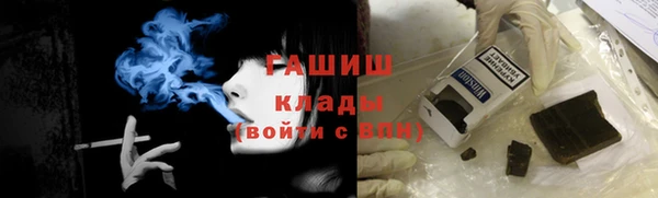 прущие грибы Алзамай