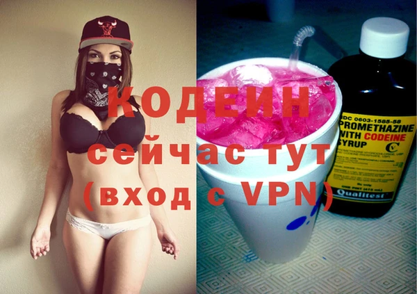 прущие грибы Алзамай
