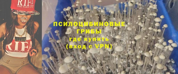 прущие грибы Алзамай