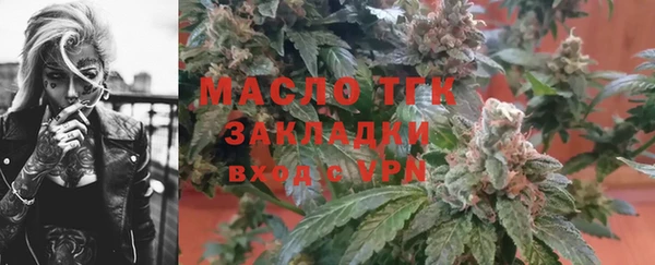 прущие грибы Алзамай