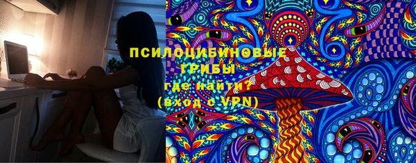 spice Алексин