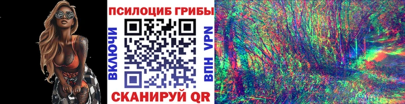 купить  сайты  Ковылкино  Псилоцибиновые грибы ЛСД 