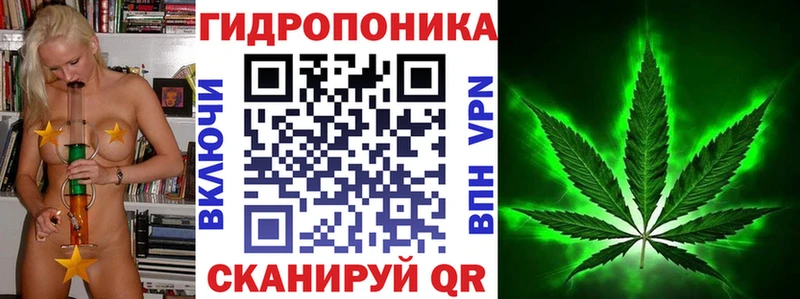 Бошки Шишки индика  купить наркотики сайты  Ковылкино 